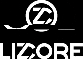 Lizcore System GIF