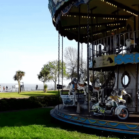 Saint-Nazaire Manege GIF - Find & Share on GIPHY