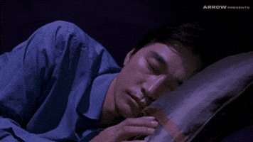 Peter Ho-Sun Chan Horror GIF by Arrow Video