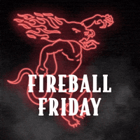 happy hour whiskey GIF by Fireball Whisky