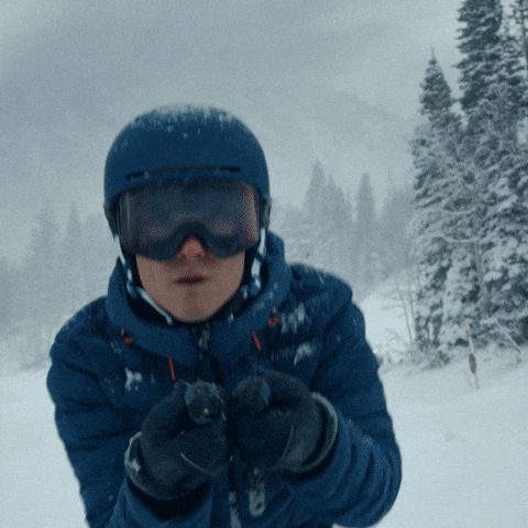 Skiing Superbowl GIF by MichelobULTRA
