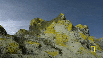 one strange rock GIF by National Geographic Channel