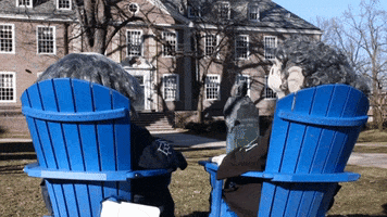 high five chairs GIF by Franklin & Marshall College