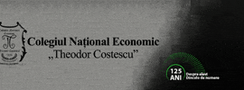 Theodor Costescu GIF by Colegiul Economic Theodor Costescu