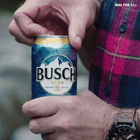 Camping Busch Beer GIF by Busch