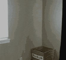 200.gif