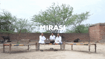 Zijah GIF