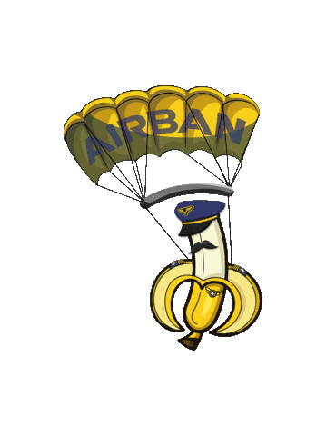 BDTI Freefly Sticker