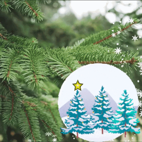 Christmas Tree Winter GIF by TeaCosyFolk