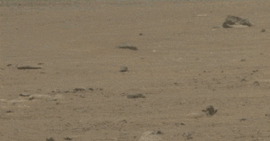 Mars Helicopter GIF by NASA