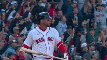 Red Sox Sport GIF by MLB