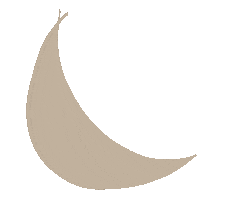 Stars Moon Sticker