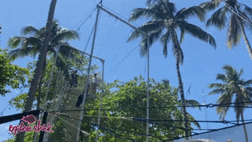 Dominican Republic Trapeze GIF by Explorer Chick