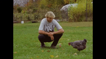 Friends Forever Chicken GIF by Visionary Music Group