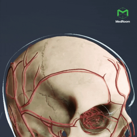 Heart 3D GIF by MedRoom