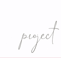 Applepip Project GIF