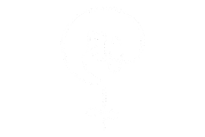 BRAVA Sticker