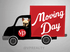 Move In Real Estate GIF by Carina Veale