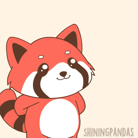 Propose Red Panda GIF
