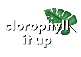 American Health Sticker