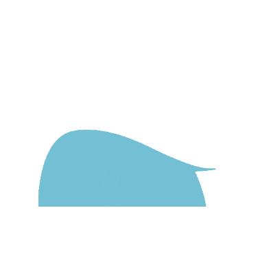 nci Sticker