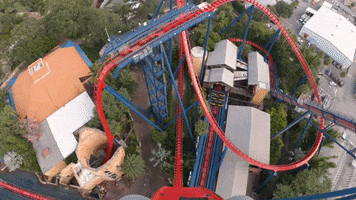 buschgardens drop dive rollercoaster roller coaster GIF