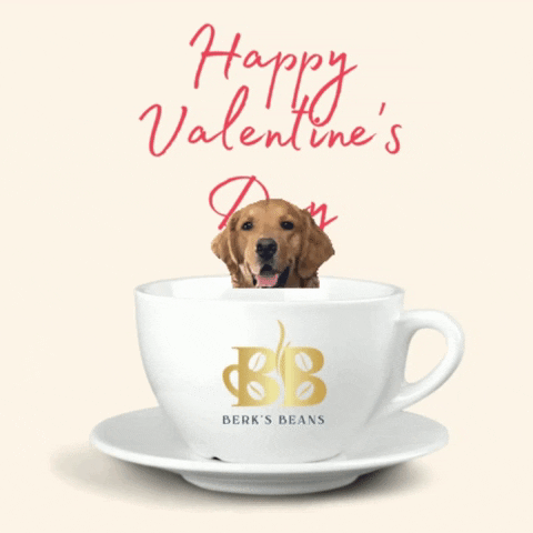 I Love You Dog GIF by Berk's Beans Coffee