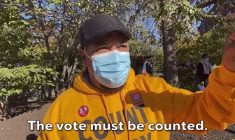 Count Every Vote GIF by GIPHY News