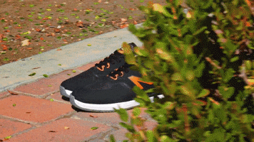 Shoes Sneaks GIF by New Balance Numeric