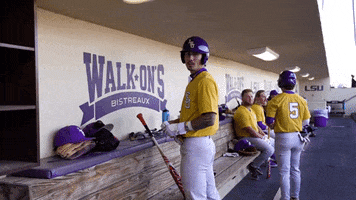 Walk Off Baseball GIF by LSU Tigers
