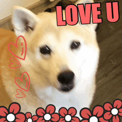 Menwen GIF