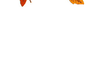 Autumn Kayaking Sticker by Lakeland Kayaks Ltd