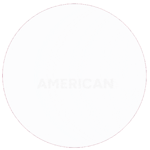 Usa Service Sticker by Peace Corps