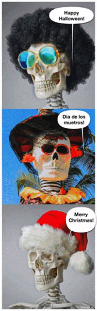 Skeleton Halloween Skeleton Christmas GIF