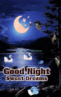 Good Night Love GIF by The SOL Foundation