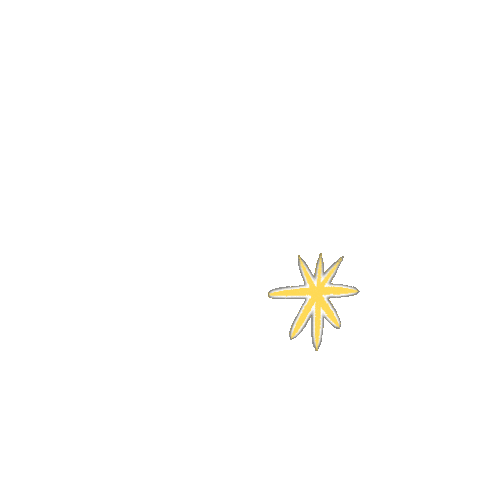 Star Sticker