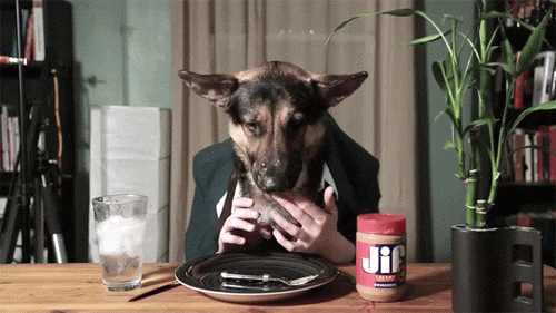 peanut butter eating GIF by Testing 1, 2, 3