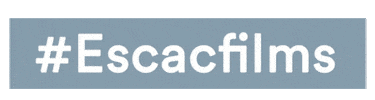 Escacfilms Sticker by Escac