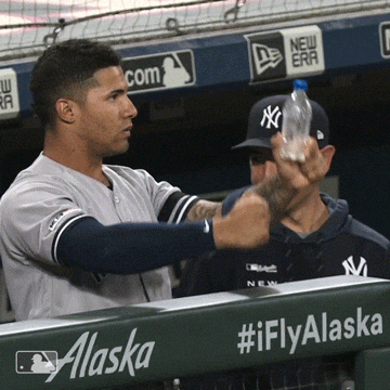 Driving New York GIF by New York Yankees