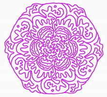 Mandala Cabbage GIF