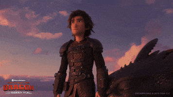 httyd GIF by How To Train Your Dragon