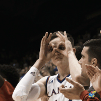Kansas Basketball Celebration GIF by Kansas Athletics