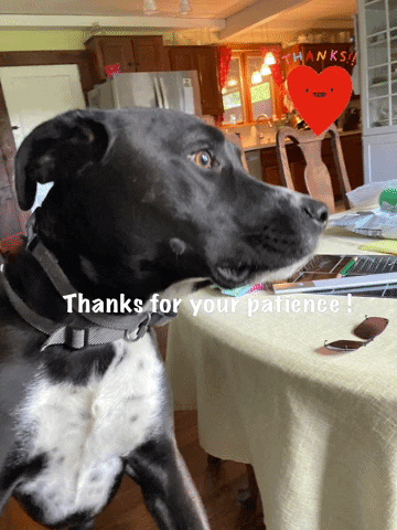 Thanks For Your Patience GIF