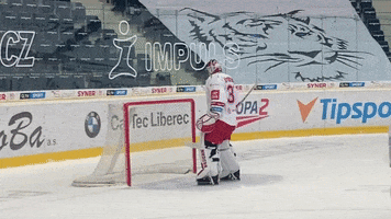 Ice Hockey Goalkeeper GIF by HC Oceláři Třinec