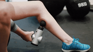 Calf GIF