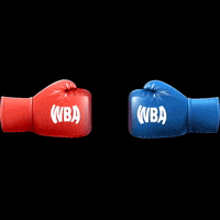 Boxeo Wba GIF by World Boxing Association