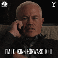 Excited Paramount Network GIF by Yellowstone
