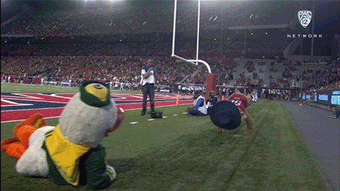 Arizona Wildcats Dance GIF by Pac-12 Network - Find & Share on GIPHY