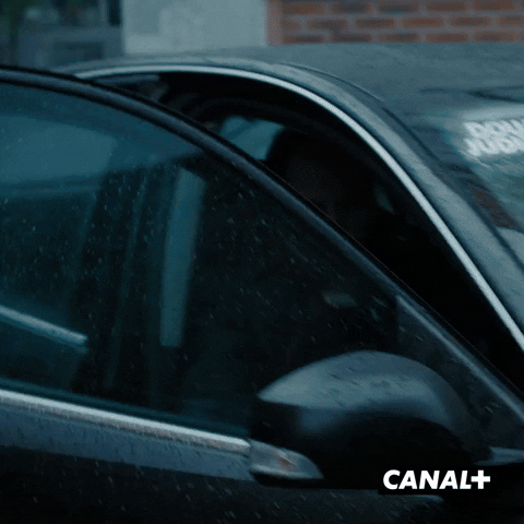 Vincent Lindon Police GIF by CANAL+