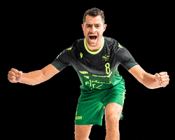 rimparerhandballer GIF